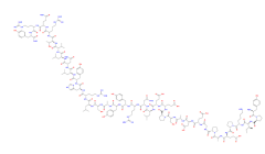 Peptide YY human CAS: 118997-30-1