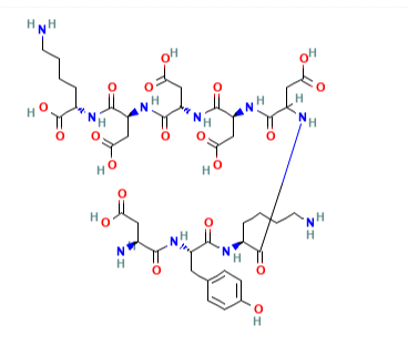 DYKDDDDK Peptide