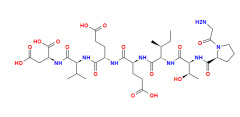 Hsp70-derived octapeptide CAS: 736171-62-3