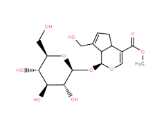 Geniposide CAS: 24512-63-8