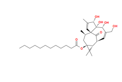 13-Oxyingenol dodecanoat CAS: 54706-70-6
