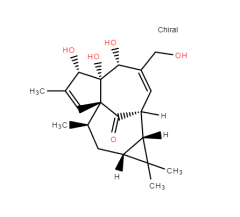 Ingenol CAS: 30220-46-3