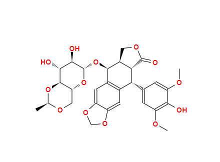 Etoposide cas: 33419-42-0