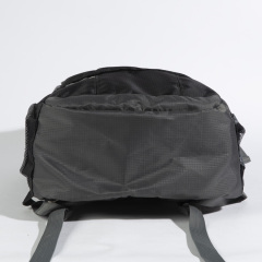Wholesale Waterproof custom logo lightweight nylon daypack backpack bag