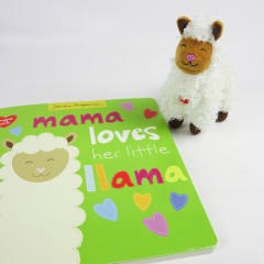 Book with toys
