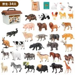 Animal model