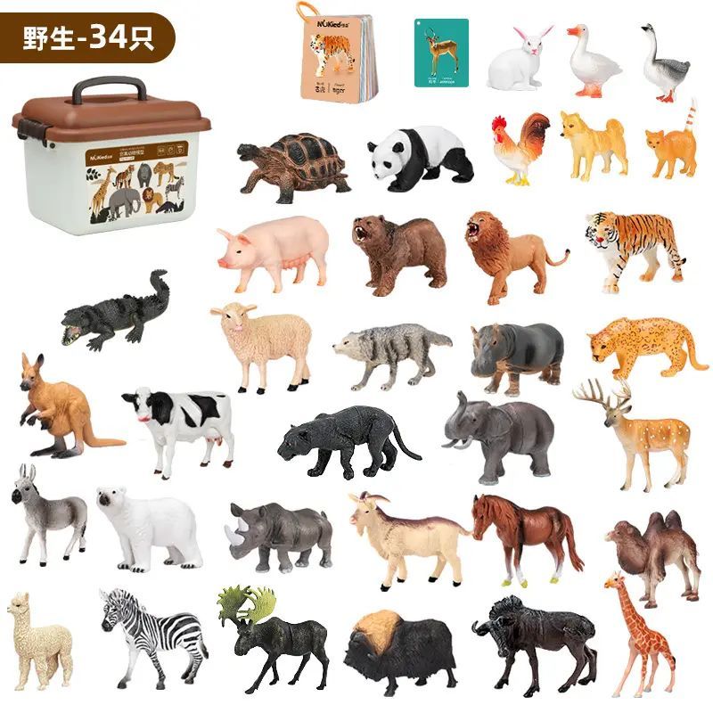Animal model