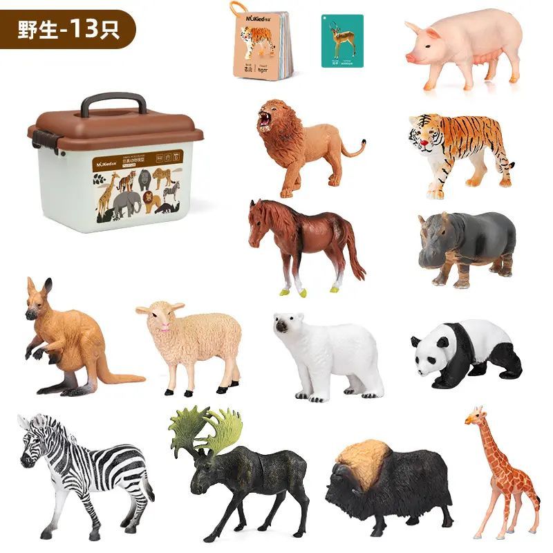 Animal model