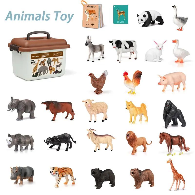 Animal model