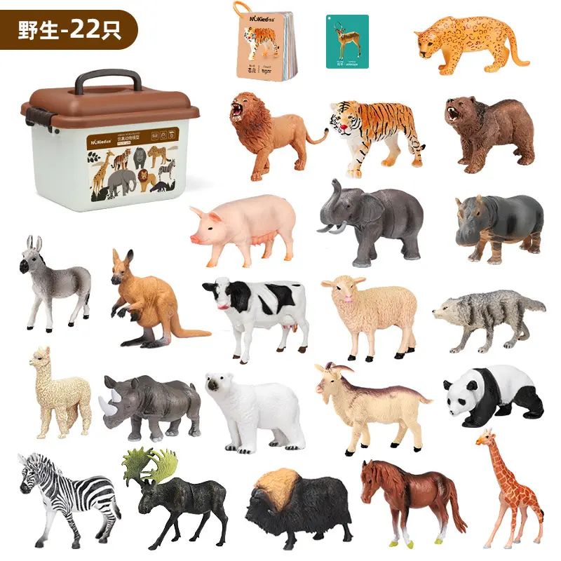Animal model
