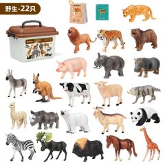 Animal model