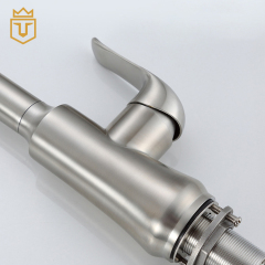 Premium SS Kitchen Pull Down Faucet