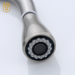 Stream Spray SS Kitchen Faucet with Sprayer
