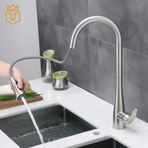Stream Spray SS Kitchen Faucet with Sprayer