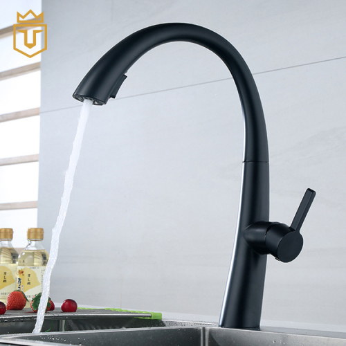 Modern Kitchen Sink Black Pull Out Kitchen Faucet