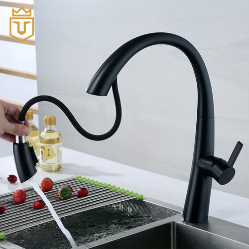 Modern Kitchen Sink Black Pull Out Kitchen Faucet