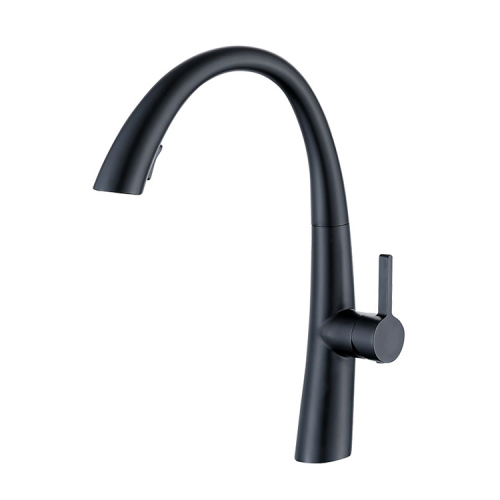 Modern Kitchen Sink Black Pull Out Kitchen Faucet