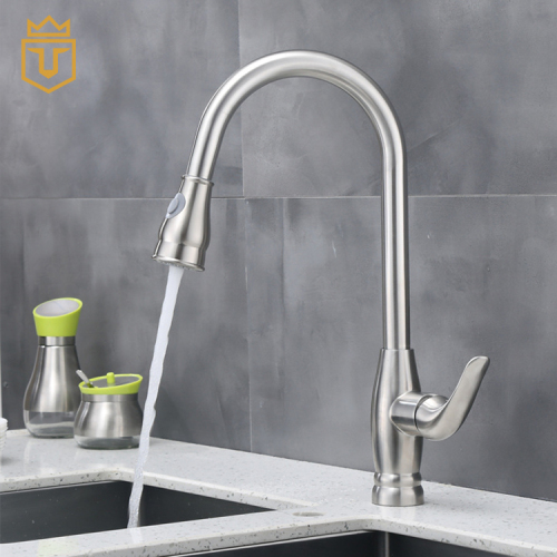 Elegant SS Pull Down Kitchen Sink Faucet