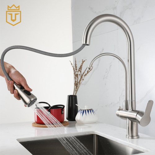 SS 3 in 1 Drink Water Kitchen Faucet