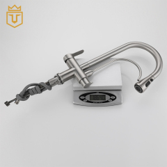 SS 3 in 1 Drink Water Kitchen Faucet