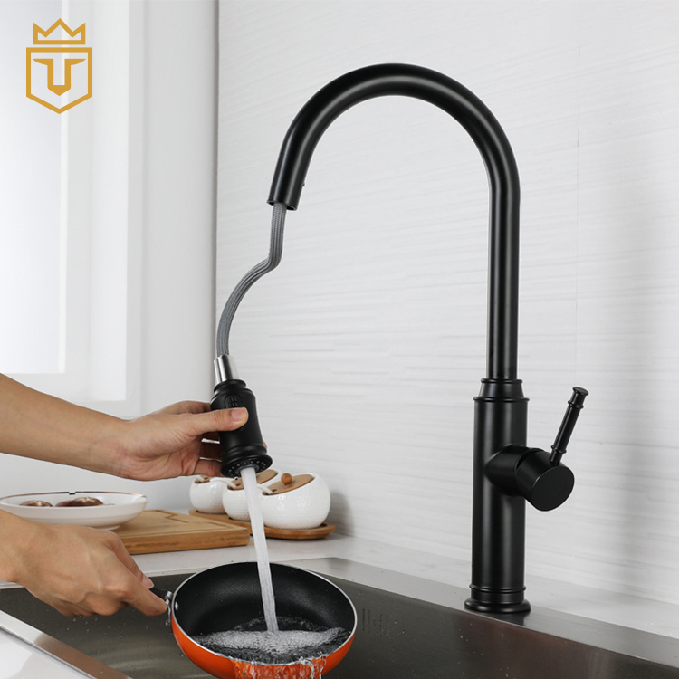 SS Black Pull Out Kitchen Tap