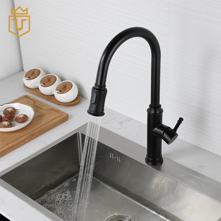 SS Black Pull Out Kitchen Tap