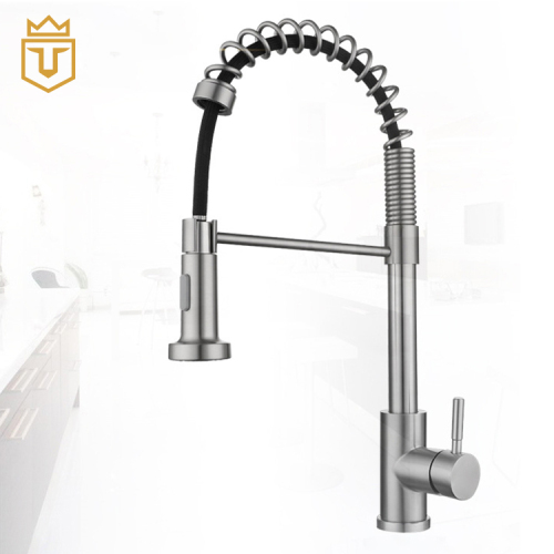 Kitchen Sink SS Luxury Kitchen Faucet