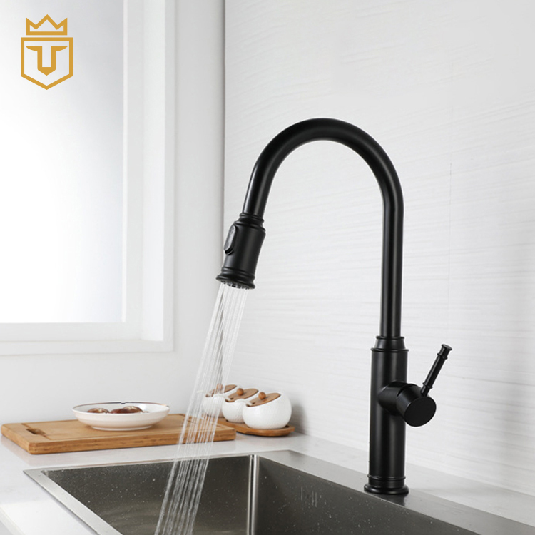 SS Black Pull Out Kitchen Tap