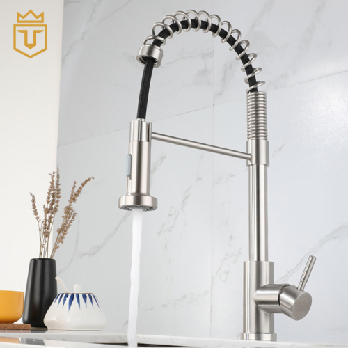 Kitchen Sink SS Luxury Kitchen Faucet