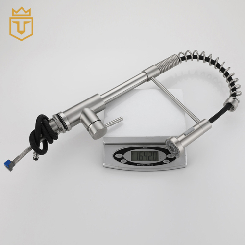 Kitchen Sink SS Luxury Kitchen Faucet