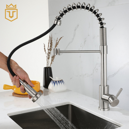 Kitchen Sink SS Luxury Kitchen Faucet