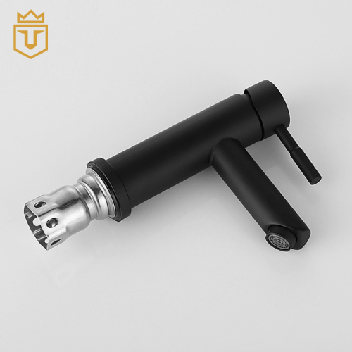 304 Stainless Steel Basin Tap Black
