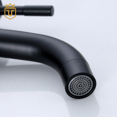 SUS304 Black Basin Faucet