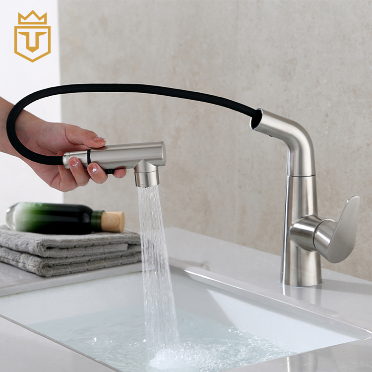 Stream Spray Pull Out 304 Wash Basin Faucet