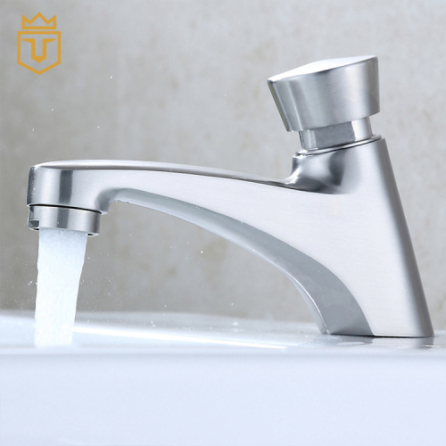 Metering Faucet Time Delayed Basin Faucet