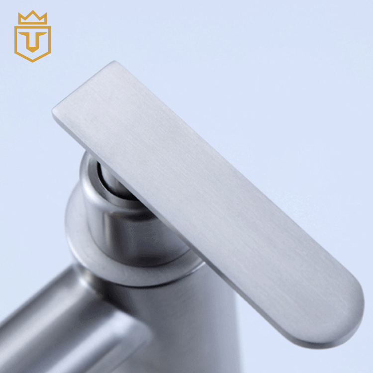 Basin Single Lever SS Cold Tap