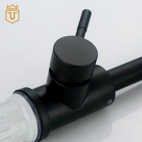 304 Bathroom Sink Faucet Black