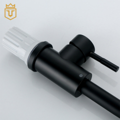 304 Bathroom Sink Faucet Black