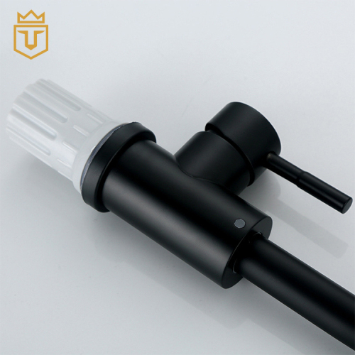 304 Bathroom Sink Faucet Black