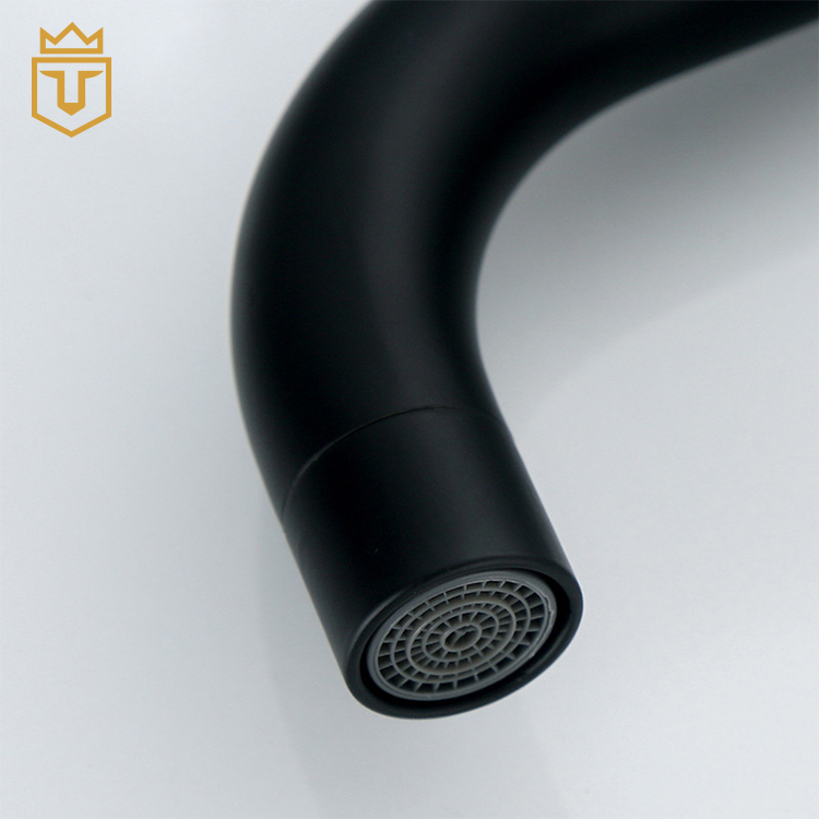 304 Bathroom Sink Faucet Black