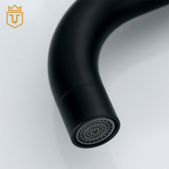 304 Bathroom Sink Faucet Black