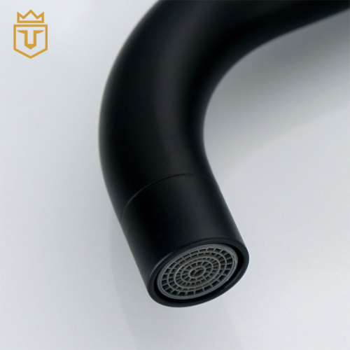 304 Bathroom Sink Faucet Black