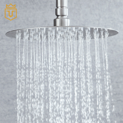 Quick Shower SUS 304 Rain Shower Cold Water