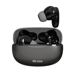 TWS Earbuds