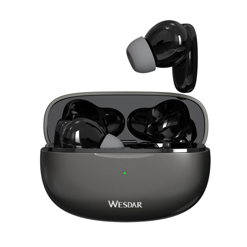 TWS Earbuds