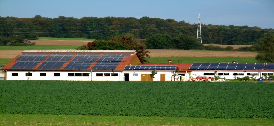 Why Do Energy Storage Batteries Choose Lithium Iron Phosphate?