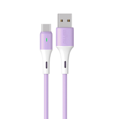 EW-E419C-100 Cable USB carga rápida 5A