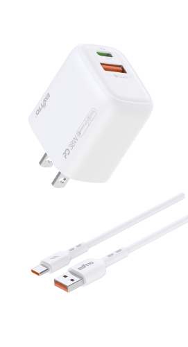 EW-E610C-100 Cargador de carga rápida