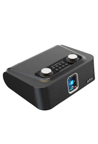 EW-P429BC Parlante inalámbrico Bluetooth