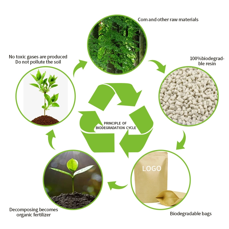 biodegradable bags application